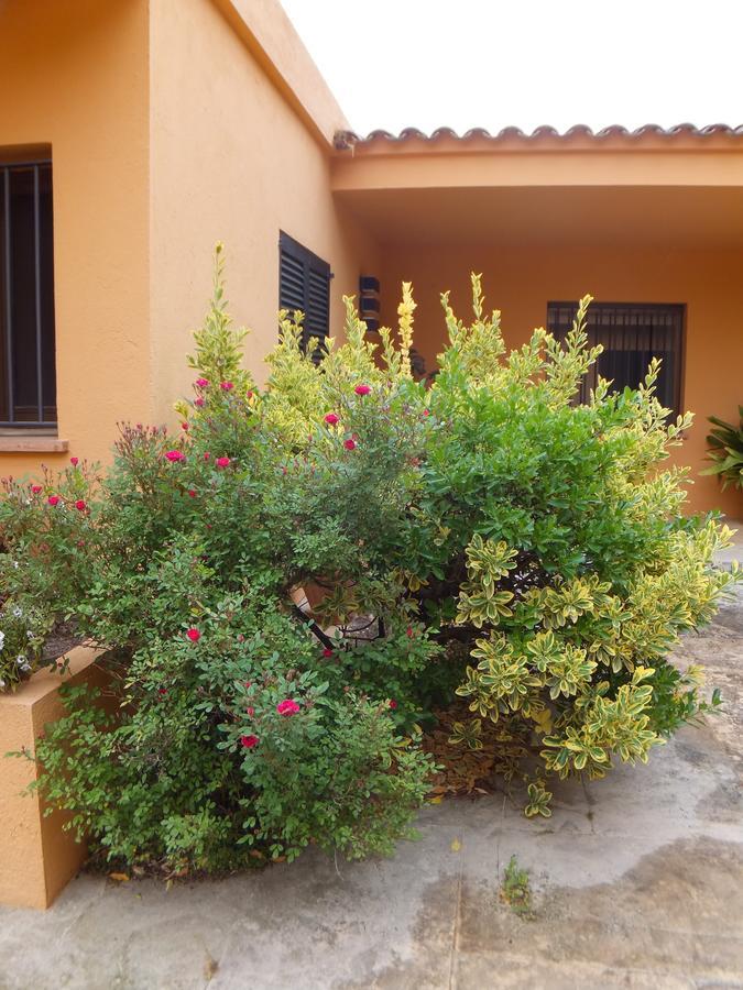 Can Kauf Santa Cristina d'Aro Exterior foto